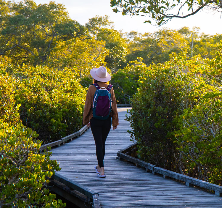 professional-supervision-social-work-allied-health-julie-marshall